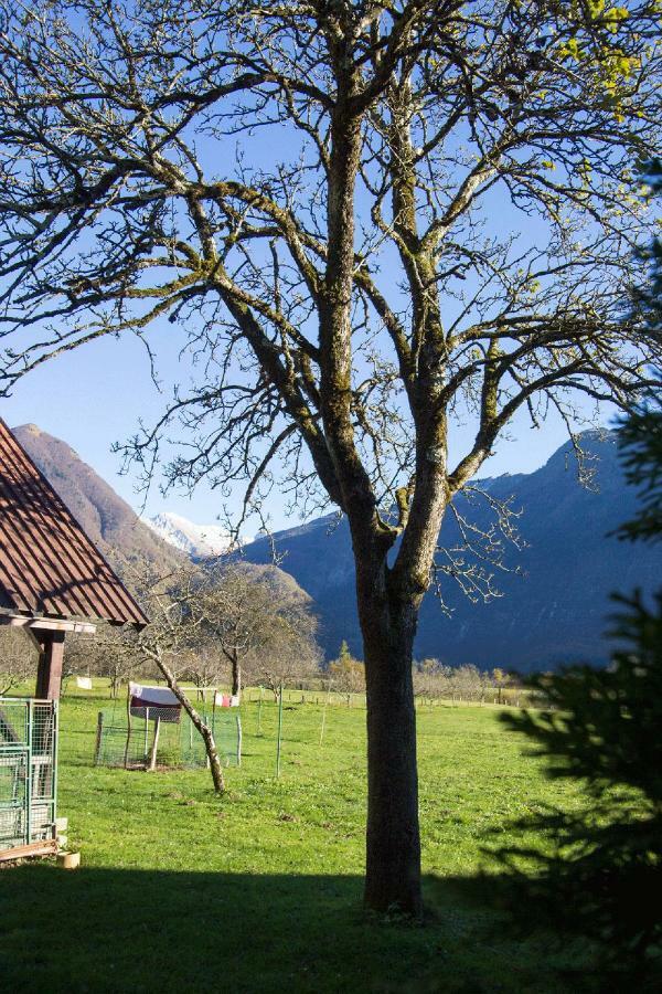 Apartment Mavrica Bovec Extérieur photo